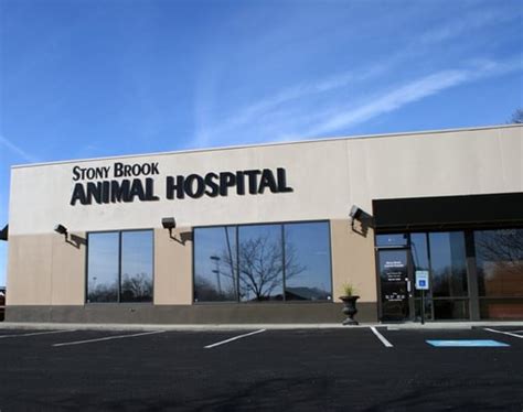 Exceptional Pet Care at Stony Brook Animal Hospital in Louisville KY